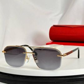 Picture of Cartier Sunglasses _SKUfw56807556fw
